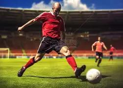 网友悲悼宠,物狗托运不,幸离世,MK体育平台,MK体育官方网站,MK体育登录入口,MK体育app下载