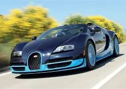 网友悲悼宠,物狗托运不,幸离世,MK体育平台,MK体育官方网站,MK体育登录入口,MK体育app下载