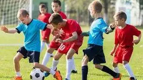 MK体育 产品 103843 ty8