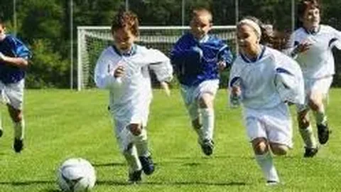 MK体育 产品 102006 0kq